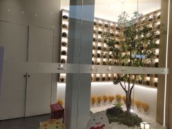 点击看大图 -汉棠汉方·美肤调体