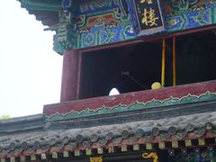 -洛阳白马寺