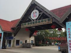 -上海海湾国家森林公园