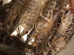 -苏大嘴海鲜牧场(奥林匹克店)