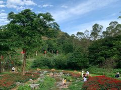 -黄埔油麻山森林公园