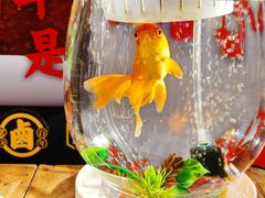 -掌柜的店·河南菜(新天地店)