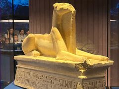 -上海博物馆(人民广场馆)