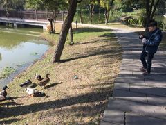 -厦门悦华酒店