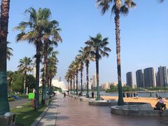 -金沙湖公园