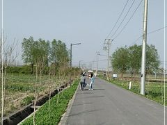 -嘉北郊野公园