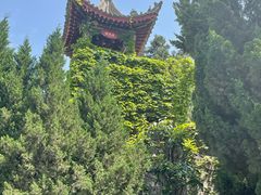 -华清宫景区