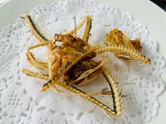 -新农家菜(浏河店)