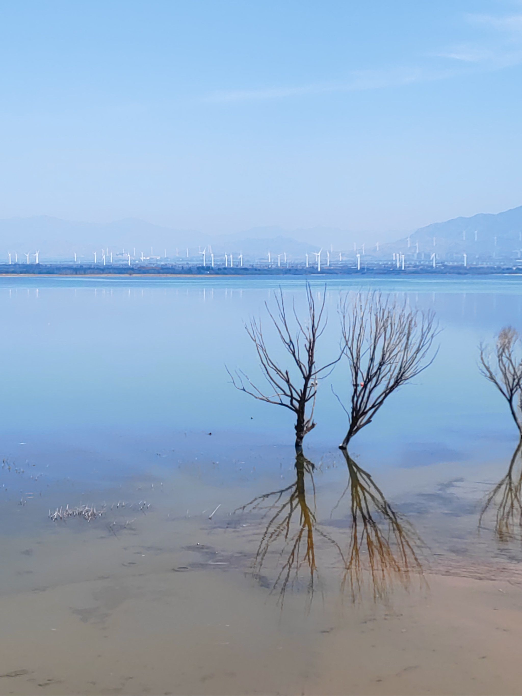 让心平静的地方