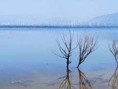 -观澜小洱海