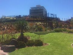 -墨尔本皇家植物园