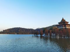 -顺峰山公园