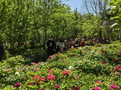 -太阳宫公园