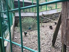 -藏龙百瀑风景区