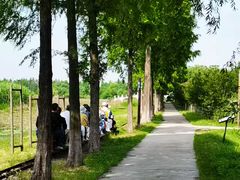 -洪湖生态旅游区