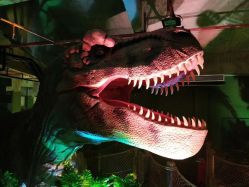 -恐龙探索乐园(磁器口店)