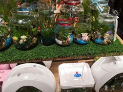 -酷乐潮玩(城西银泰城店)