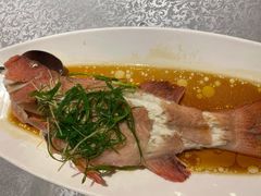清蒸红东星斑-达叔香味海鲜(海棠68环球美食街店)