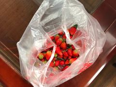 -海底捞火锅(高科广场店)