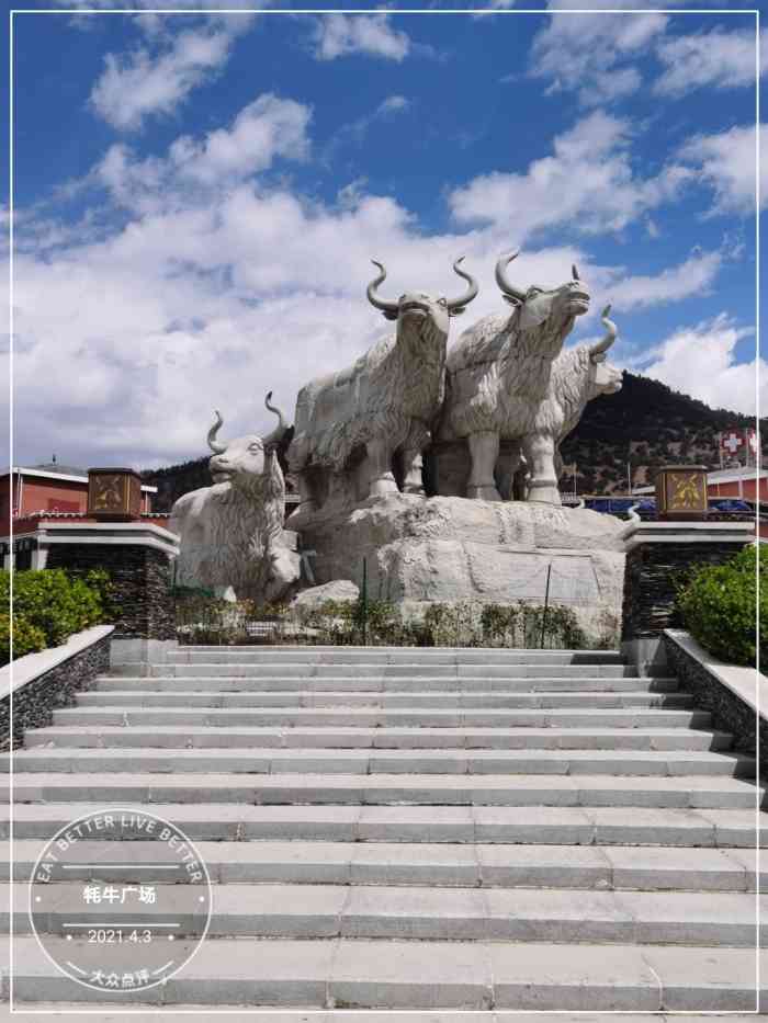 牦牛广场-"吃饭路过打个卡,旁边都是特产店,大商场."-大众点评移动版