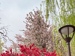 -元大都城垣遗址公园