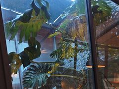 -肴约·花园式餐厅(湖里店)