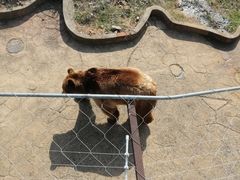 -无锡动物园·太湖欢乐园