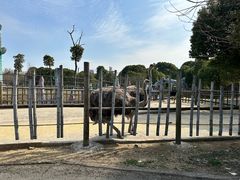 -常州淹城野生动物世界