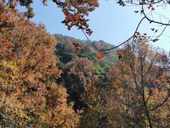 -广州市石门国家森林公园