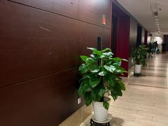 -松鹤楼(狮山永利广场店)