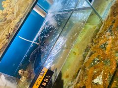 水产区-阿马蛋汤·宁波小海鲜(总店)