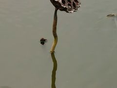 -南翠屏公园