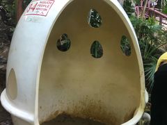 -100蛋泥浆浴