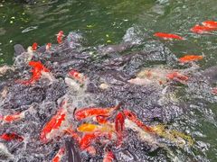 -新世纪大酒楼·30年南海菜