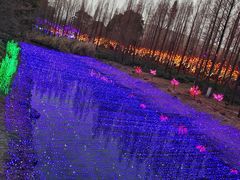 -金沙遗址博物馆