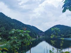 -武陵山森林公园