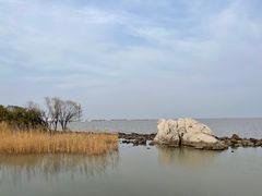 -上海吴淞炮台湾国家湿地公园