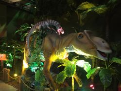 -恐龙探索乐园(磁器口店)