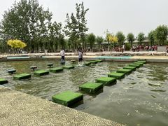 -杨柳青庄园