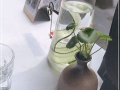 -野蔓果·山野菜(西湖景区·龙井茶田店)