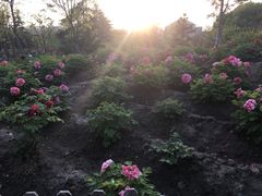 -江南大学(蠡湖校区)