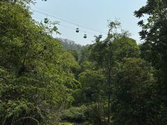 -野象谷景区