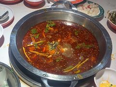 -蜀滋香鲜鱼美蛙火锅(339店)