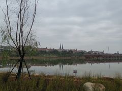 -九龙湖公园