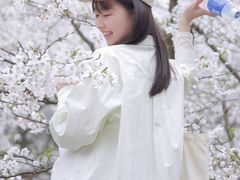 -南山植物园