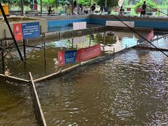 -粮心小农·大头虾亲子生态园(长发店)