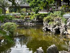 -九龙寨城公园