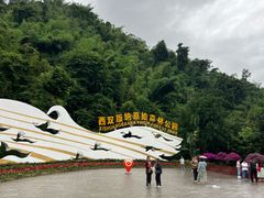 -西双版纳原始森林公园