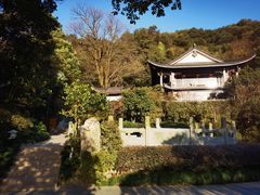 -十八棵（老龙井）御茶园(老龙井店)