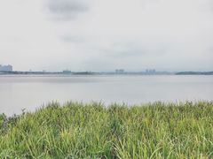 -星巴克(成都科学城店)